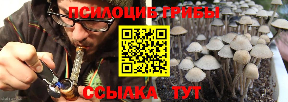 Галлюциногенные грибы MAGIC MUSHROOMS Губаха